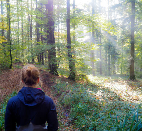 Séjour en étoile à pied