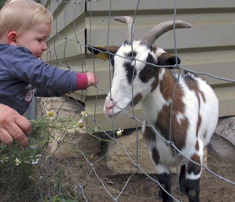 Le Sundgau en 24h par Nathan