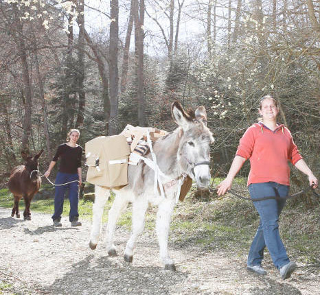 Randonner avec un âne