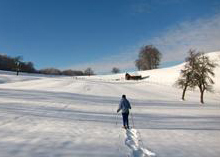 Circuits Raquettes du Glaserberg
