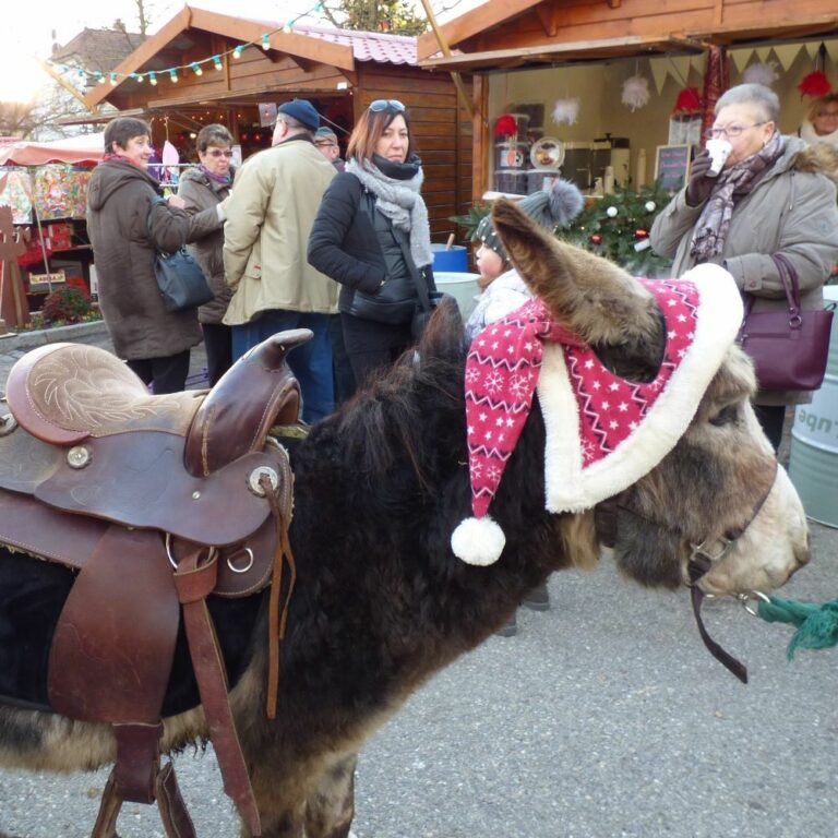 Manifestations de Noël