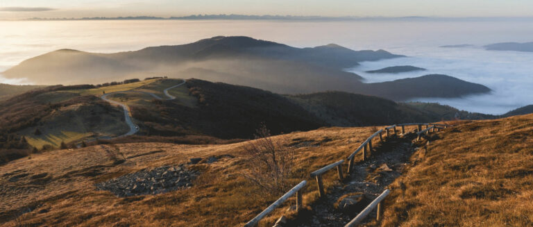 Le massif des Vosges