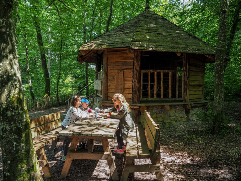 Aires de pique-nique